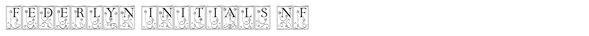 Federlyn Initials NF image